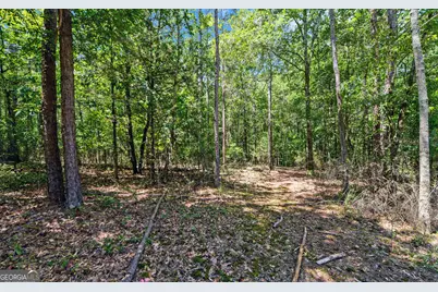 0 Lot 3 Reed Creek Point, Hartwell, GA 30643 - Photo 15