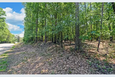 0 Lot 3 Reed Creek Point, Hartwell, GA 30643 - Photo 13