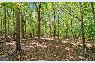 0 Lot 3 Reed Creek Point, Hartwell, GA 30643 - Photo 17