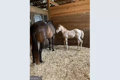 8272 Old Zebulon Road, Molena, GA 30258 - Photo 39