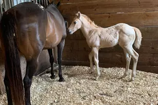 8272 Old Zebulon Rd, Molena, GA 30258 - Photo 39