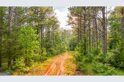 3644-3792 Fortune Hole Road, Hamilton, GA 31811 - Photo 5