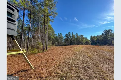 3644-3792 Fortune Hole Road, Hamilton, GA 31811 - Photo 9