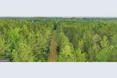 3644-3792 Fortune Hole Road, Hamilton, GA 31811 - Photo 23