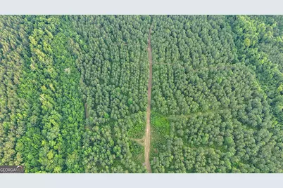 3644-3792 Fortune Hole Road, Hamilton, GA 31811 - Photo 25