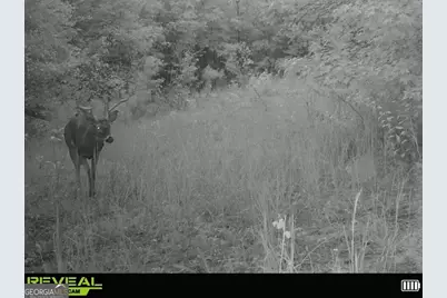 3644-3792 Fortune Hole Road, Hamilton, GA 31811 - Photo 37