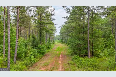 3644-3792 Fortune Hole Road, Hamilton, GA 31811 - Photo 19