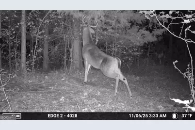 3644-3792 Fortune Hole Road, Hamilton, GA 31811 - Photo 39