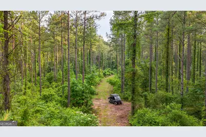 3644-3792 Fortune Hole Road, Hamilton, GA 31811 - Photo 1