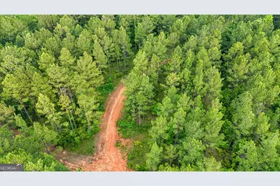 3644-3792 Fortune Hole Road, Hamilton, GA 31811 - Photo 29