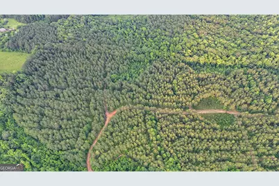 3644-3792 Fortune Hole Road, Hamilton, GA 31811 - Photo 27