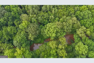 3644-3792 Fortune Hole Road, Hamilton, GA 31811 - Photo 11