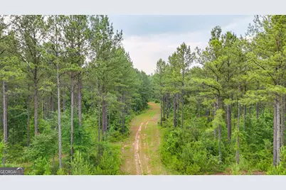 3644-3792 Fortune Hole Road, Hamilton, GA 31811 - Photo 21