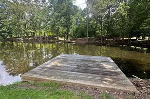 1845 Smokey Rd, Newnan, GA 30263 - Photo 21