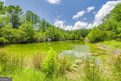 1198 NE Fiddler's Cove, Townsend, GA 31331 - Photo 43