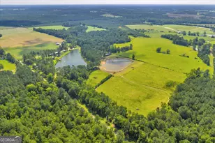 964 Cross Cedar Rd, Wrightsville, GA 31096 - Photo 101