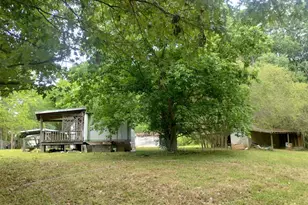 1423 Hwy 114, Summerville, GA 30747 - Photo 3