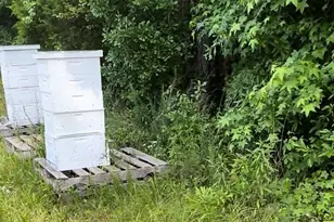 1599 Lower River Rd, Covington, GA 30016 - Photo 23