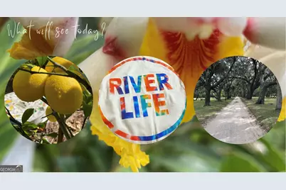 V/L 28 Travelers Court, Saint Marys, GA 31558 - Photo 25