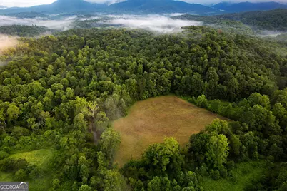 1055 New Liberty Trail, Ellijay, GA 30536 - Photo 9