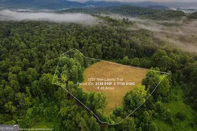 1055 New Liberty Trail, Ellijay, GA 30536 - Photo 3