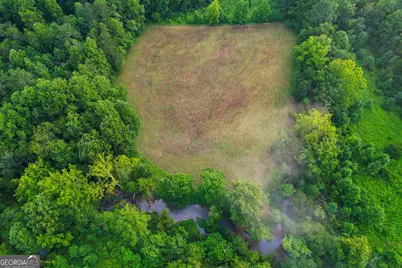 1055 New Liberty Trail, Ellijay, GA 30536 - Photo 7