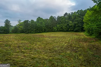 1055 New Liberty Trail, Ellijay, GA 30536 - Photo 11