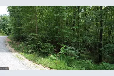 Lot #159 Jumper Drive, Ellijay, GA 30540 - Photo 15
