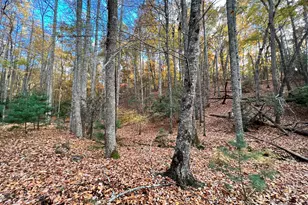 23 Briar Cove Ln, Morganton, GA 30560 - Photo 23