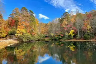 23 Briar Cove Ln, Morganton, GA 30560 - Photo 21