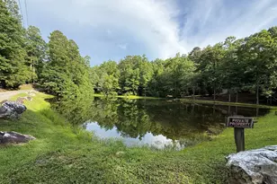 23 Briar Cove Ln, Morganton, GA 30560 - Photo 19