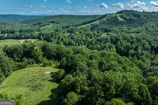 157 Edwards Rd, Fairmount, GA 30139 - Photo 69