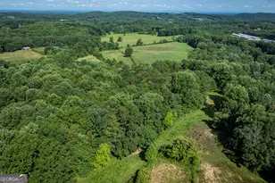 157 Edwards Rd, Fairmount, GA 30139 - Photo 61