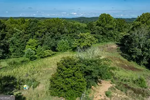 157 Edwards Rd, Fairmount, GA 30139 - Photo 65