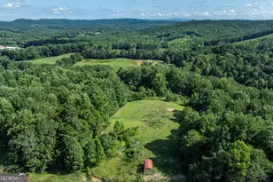 157 Edwards Rd, Fairmount, GA 30139 - Photo 59