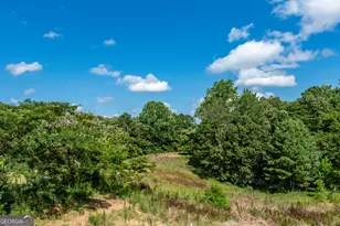 157 Edwards Rd, Fairmount, GA 30139 - Photo 39