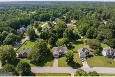 3145 Parks Run, Loganville, GA 30052 - Photo 43