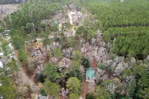 1380 Landing, Baxley, GA 31513 - Photo 33