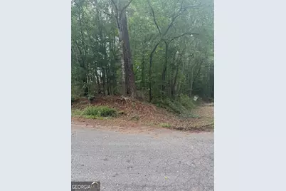 0 Glenwood Road, Thomaston, GA 30286 - Photo 5