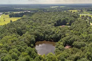 191 Tumlin Creek Rd, Roopville, GA 30170 - Photo 45