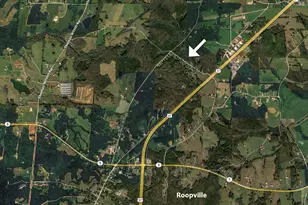 191 Tumlin Creek Rd, Roopville, GA 30170 - Photo 47