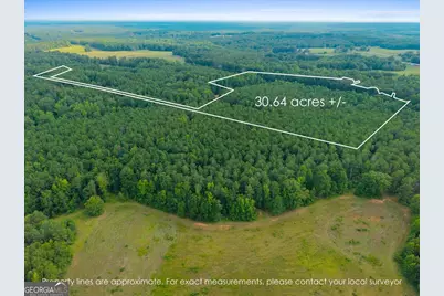 0 Dickson Road, Rutledge, GA 30663 - Photo 3
