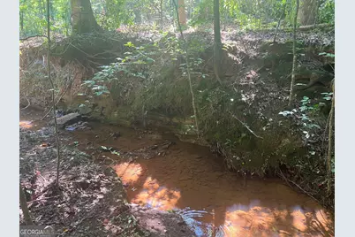 0 Dickson Road, Rutledge, GA 30663 - Photo 9