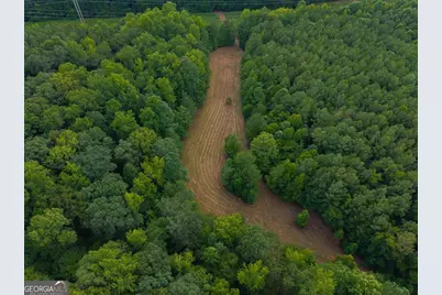 0 Dickson Road, Rutledge, GA 30663 - Photo 39