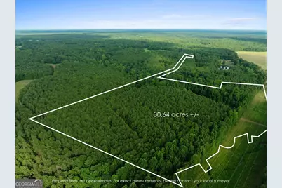 0 Dickson Road, Rutledge, GA 30663 - Photo 1