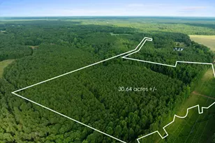 0 Dickson Rd, Rutledge, GA 30663 - Photo 1