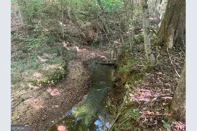 0 Dickson Road, Rutledge, GA 30663 - Photo 15