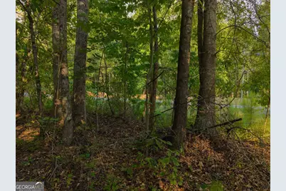 0 Dickson Road, Rutledge, GA 30663 - Photo 35