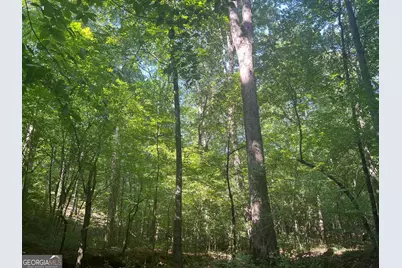 0 Dickson Road, Rutledge, GA 30663 - Photo 19