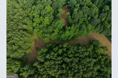 0 Dickson Road, Rutledge, GA 30663 - Photo 37